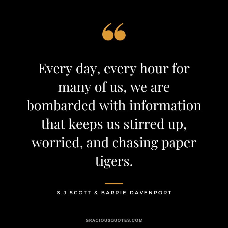 Every day, every hour for many of us, we are bombarded with information that keeps us stirred up, worried, and chasing paper tigers. - S.J Scott & Barrie Davenport