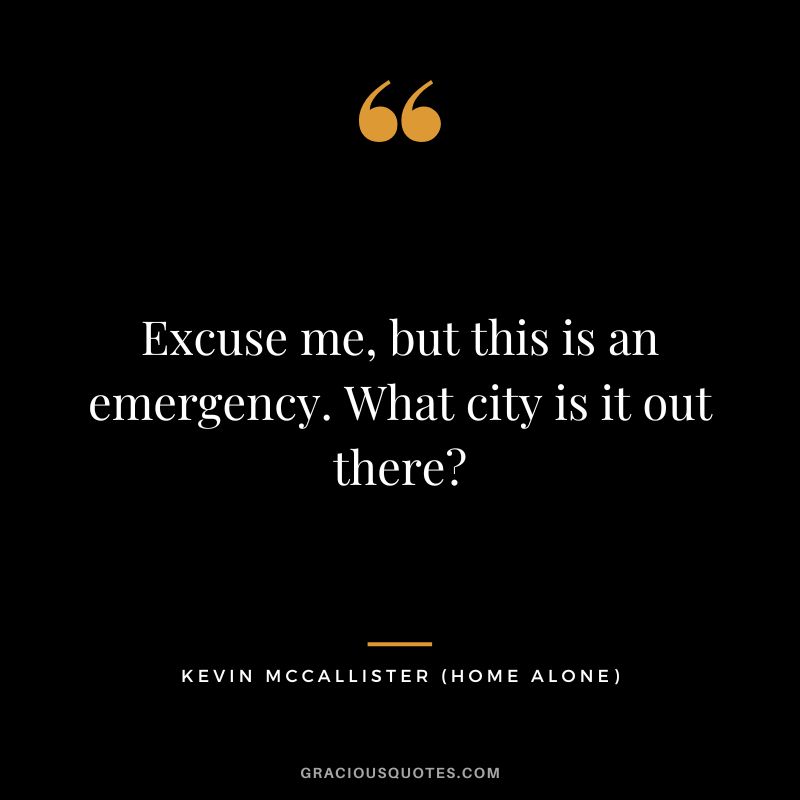 Excuse me, but this is an emergency. What city is it out there - Kevin McCallister