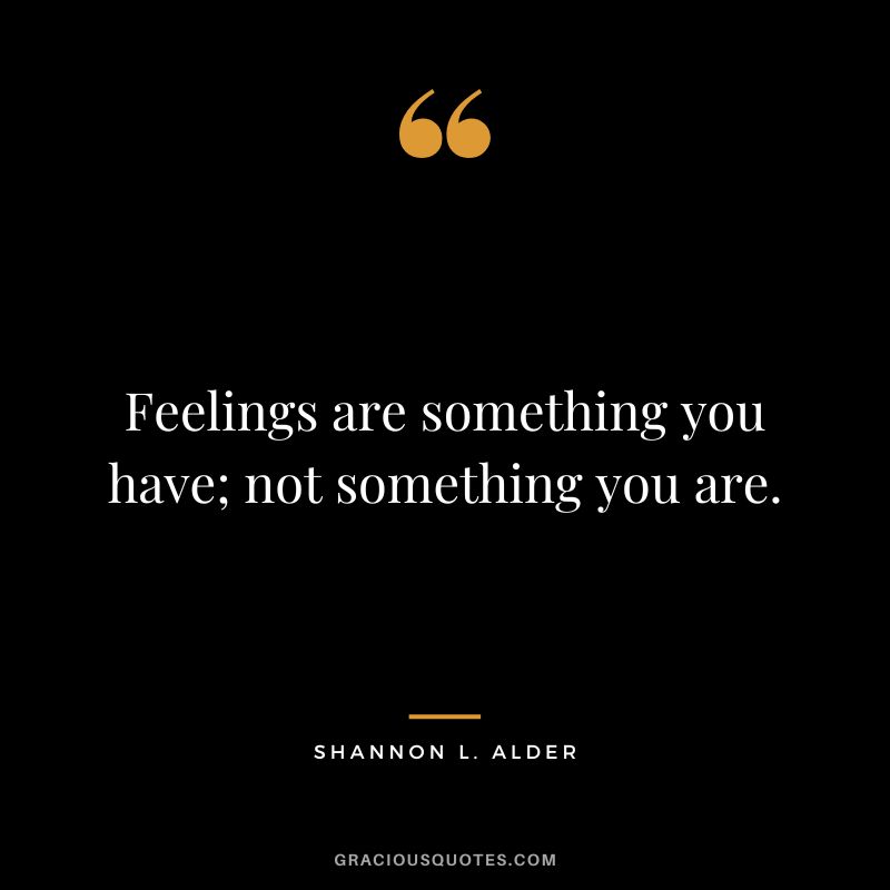 Feelings are something you have; not something you are. - Shannon L. Alder