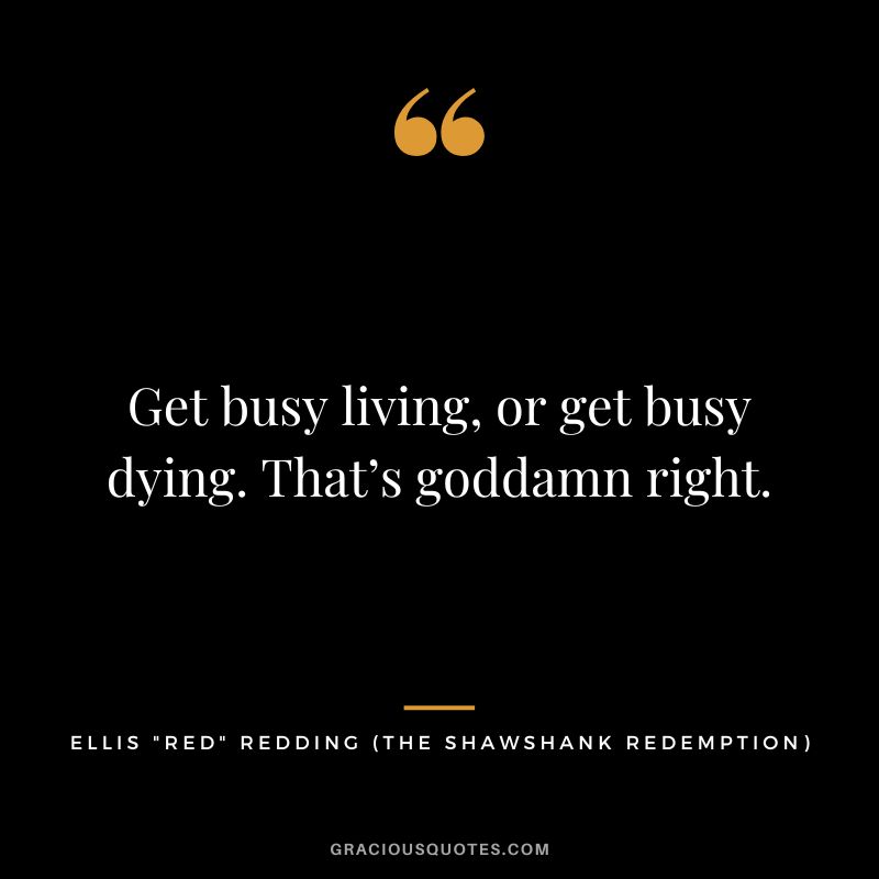 Get busy living, or get busy dying. That’s goddamn right. - Ellis Red Redding