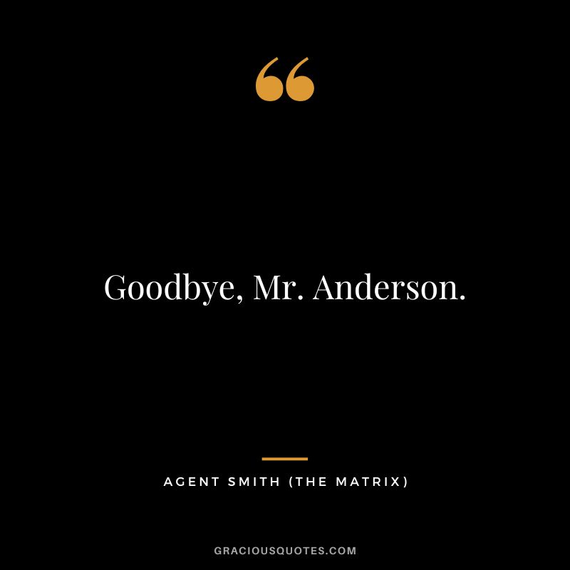 Goodbye, Mr. Anderson. - Agent Smith