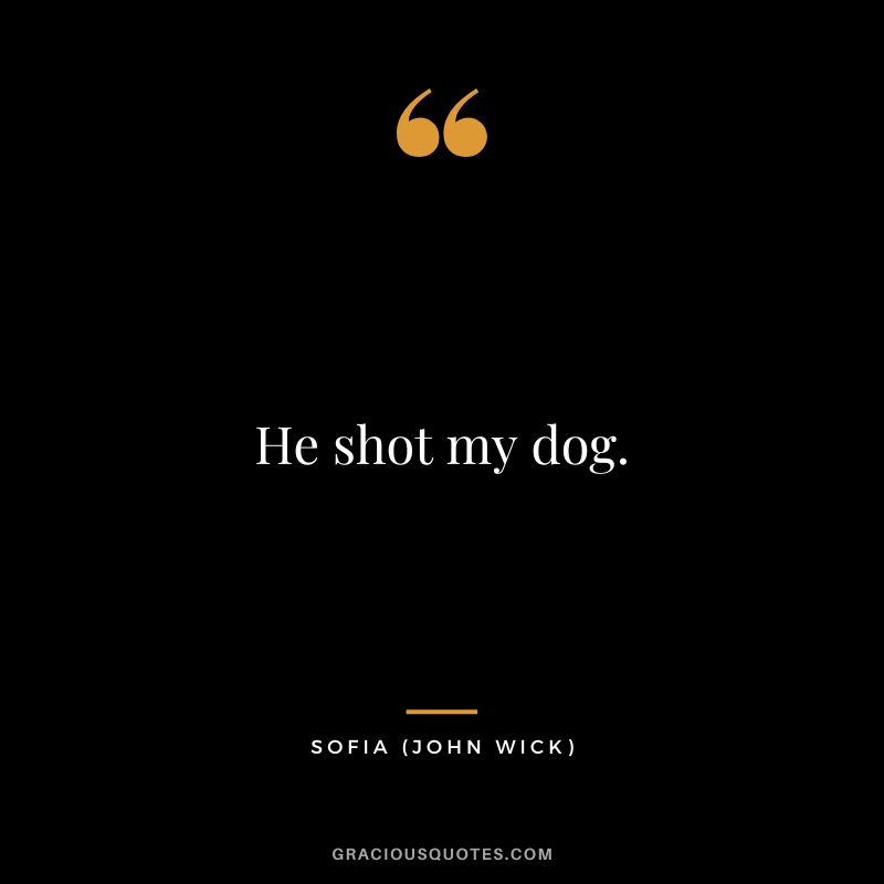 He shot my dog. - Sofia