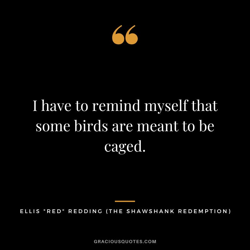 I have to remind myself that some birds are meant to be caged. - Ellis Red Redding