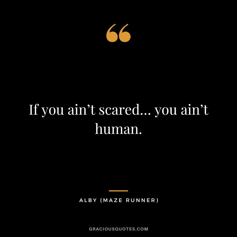 If you ain’t scared… you ain’t human. - Alby