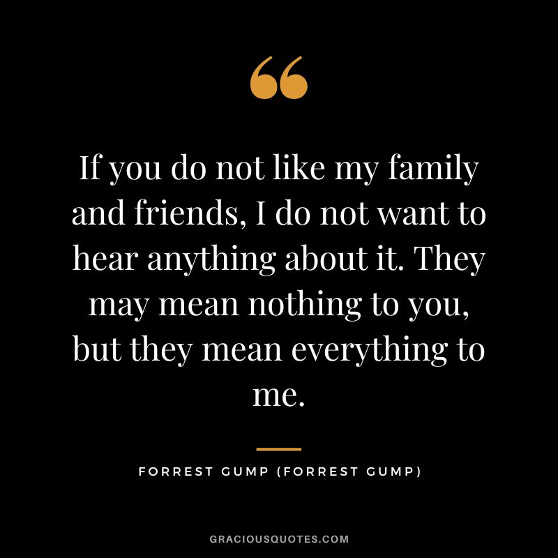 If you do not like my family and friends, I do not want to hear anything about it. They may mean nothing to you, but they mean everything to me. - Forrest Gump