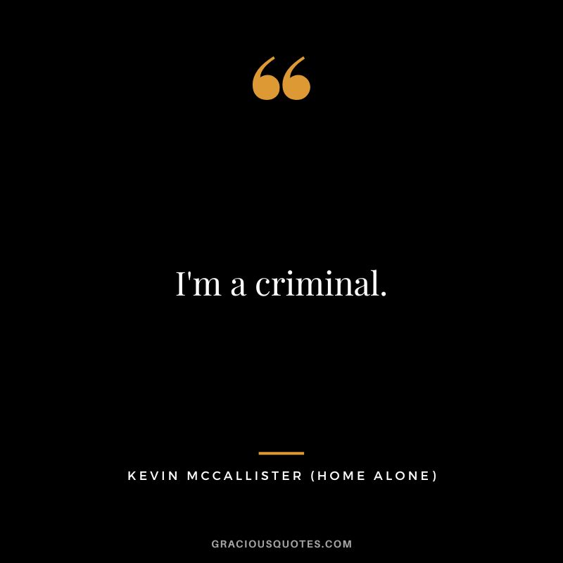 I'm a criminal. - Kevin McCallister