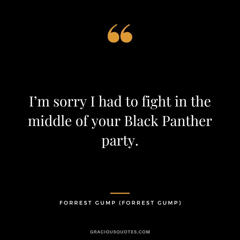 I’m sorry I had to fight in the middle of your Black Panther party. - Forrest Gump