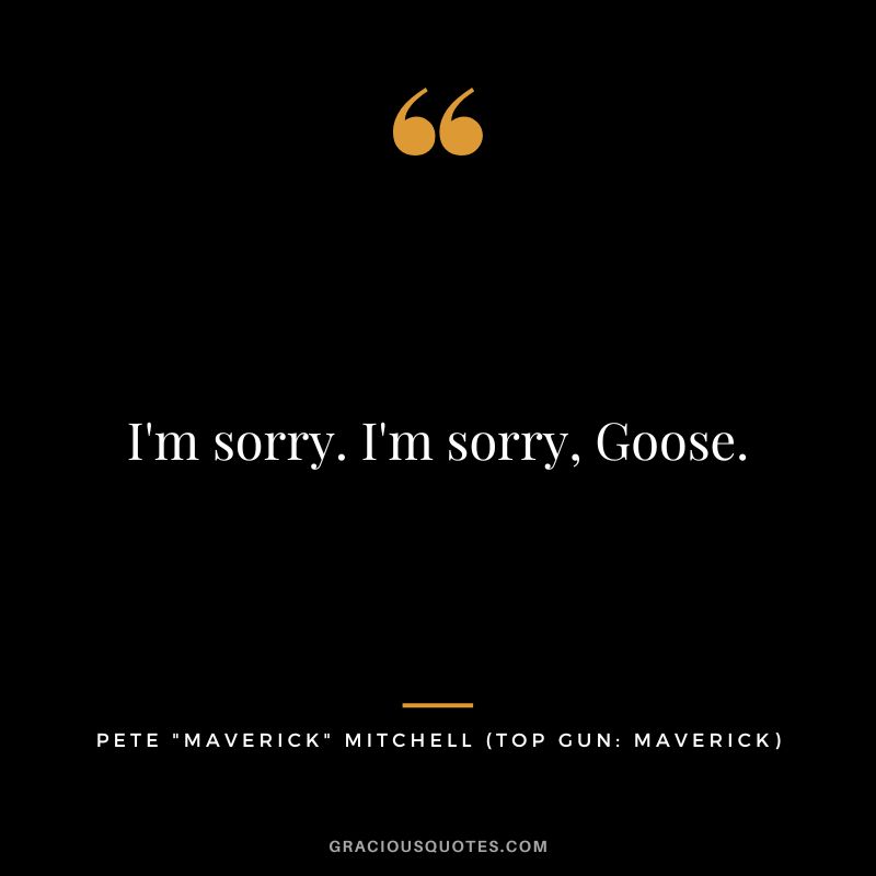 I'm sorry. I'm sorry, Goose. - Pete Maverick Mitchell