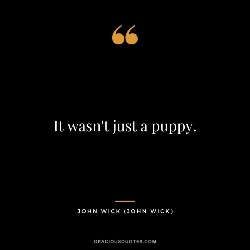 It wasn't just a puppy. - John Wick