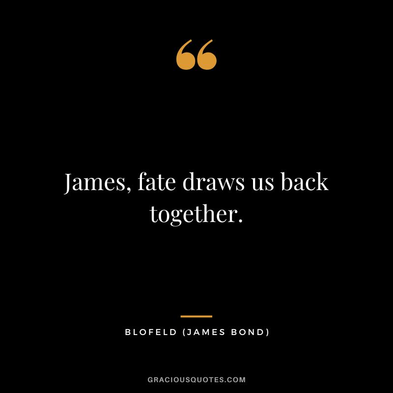 James, fate draws us back together. - Blofeld