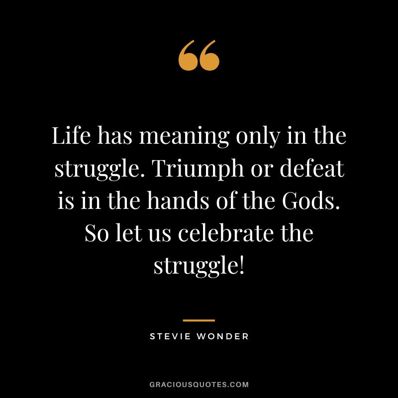 Life has meaning only in the struggle. Triumph or defeat is in the hands of the Gods. So let us celebrate the struggle!  - Stevie Wonder