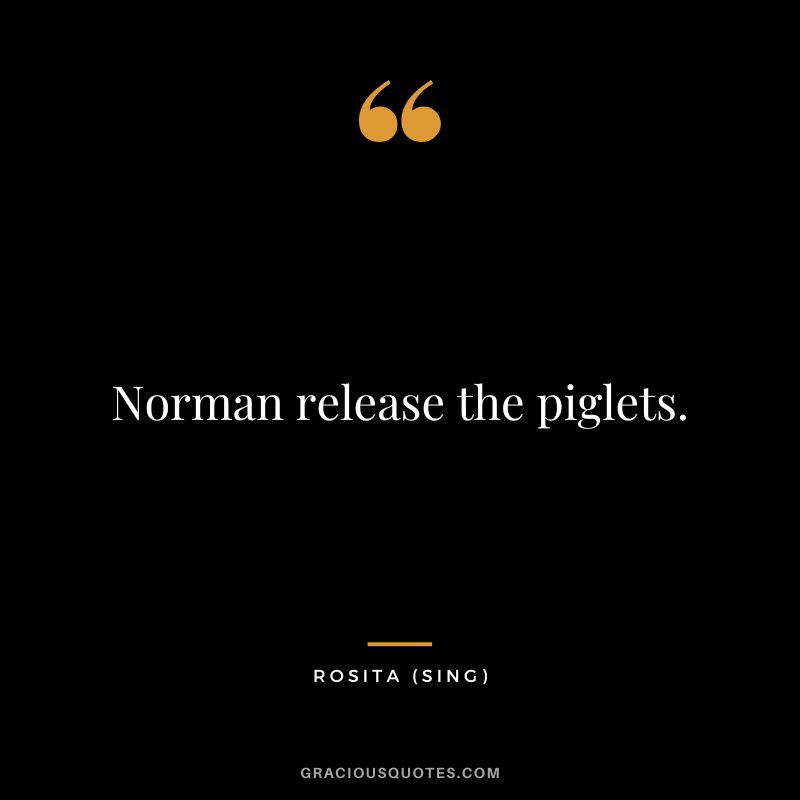 Norman release the piglets. - Rosita