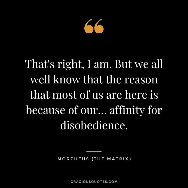 That's right, I am. But we all well know that the reason that most of us are here is because of our… affinity for disobedience. - Morpheus