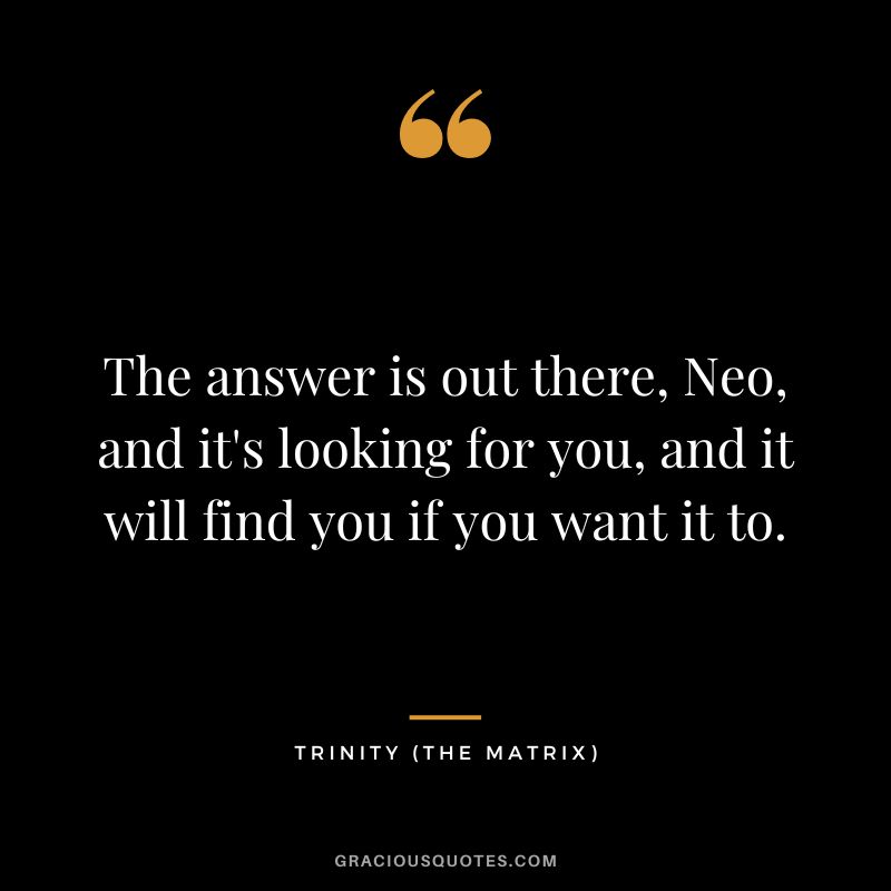 The answer is out there, Neo, and it's looking for you, and it will find you if you want it to. - Trinity