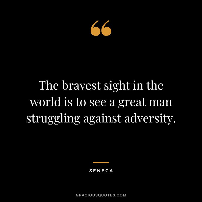 The bravest sight in the world is to see a great man struggling against adversity. - Seneca