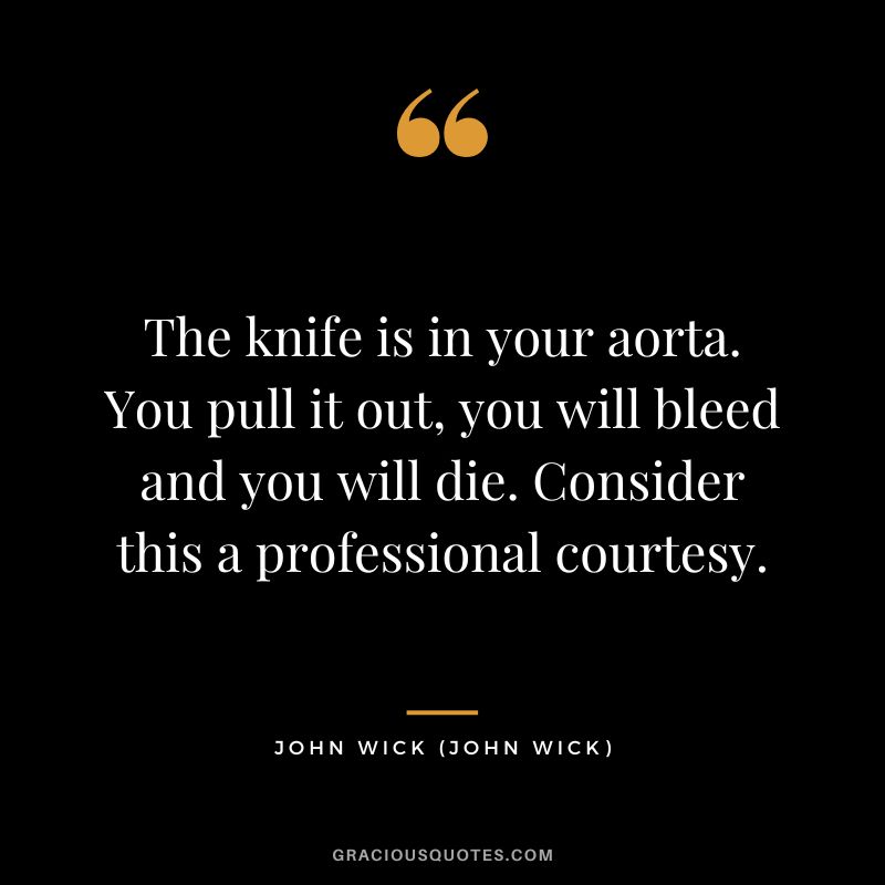 The knife is in your aorta. You pull it out, you will bleed and you will die. Consider this a professional courtesy. - John Wick