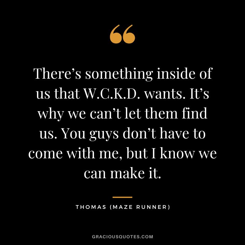 There’s something inside of us that W.C.K.D. wants. It’s why we can’t let them find us. You guys don’t have to come with me, but I know we can make it. - Thomas