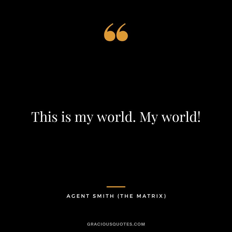 This is my world. My world! - Agent Smith