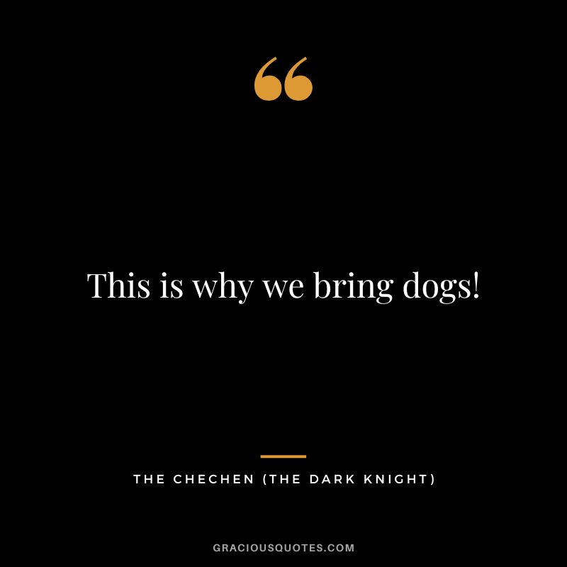 This is why we bring dogs! - The Chechen