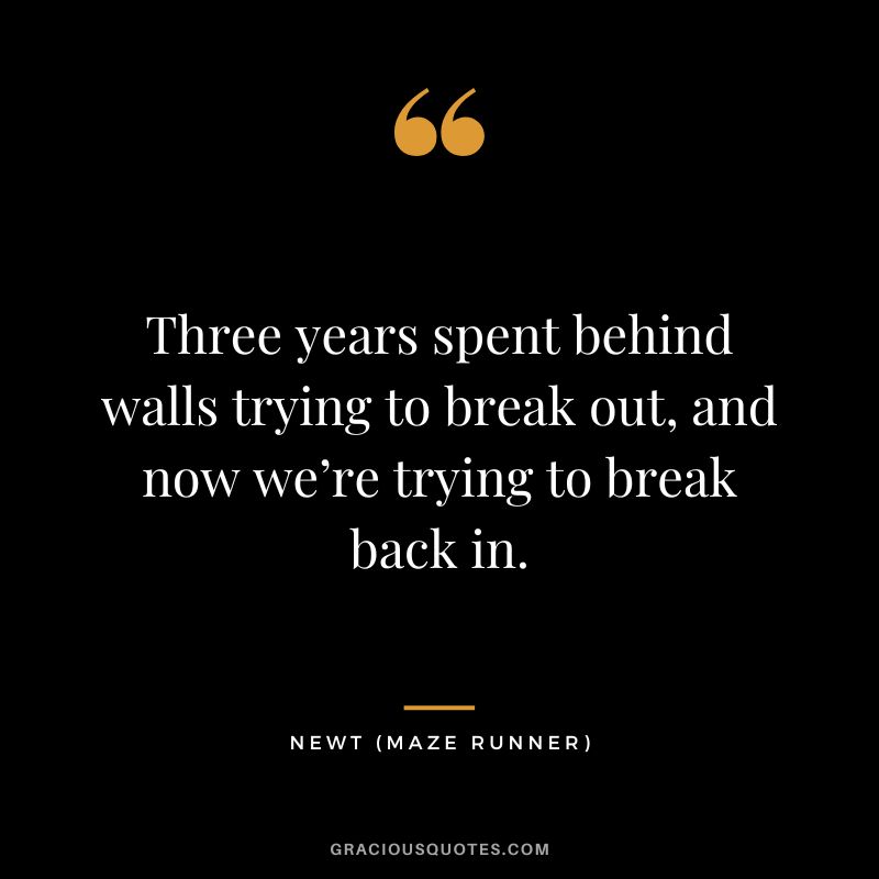 Three years spent behind walls trying to break out, and now we’re trying to break back in. - Newt