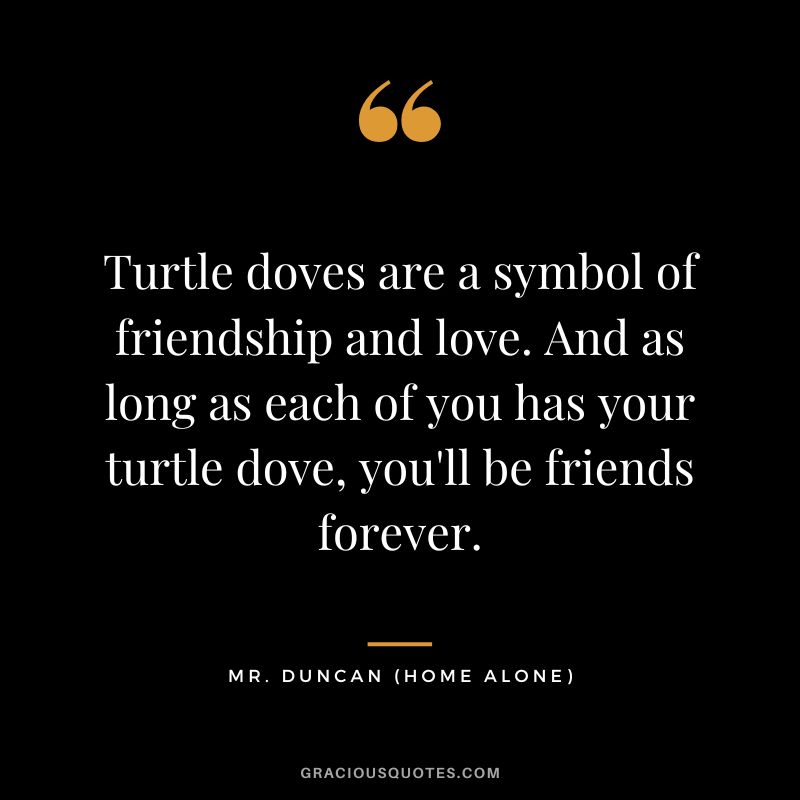 Turtle doves are a symbol of friendship and love. And as long as each of you has your turtle dove, you'll be friends forever. - Mr. Duncan