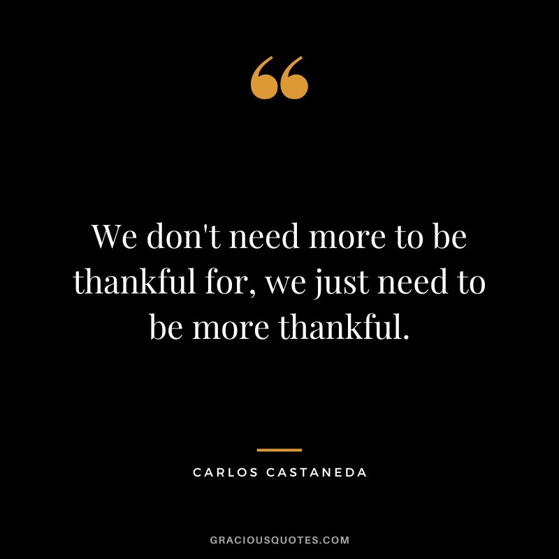 We don't need more to be thankful for, we just need to be more thankful. - Carlos Castaneda