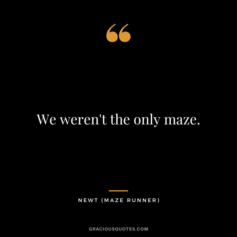 We weren't the only maze. - Newt