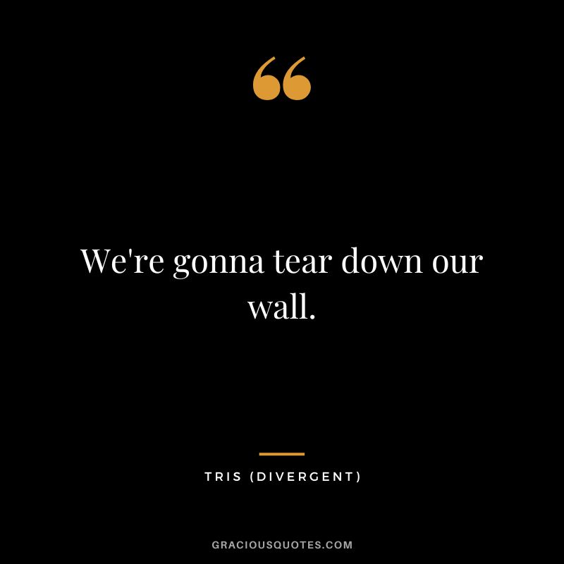 We're gonna tear down our wall. - Tris