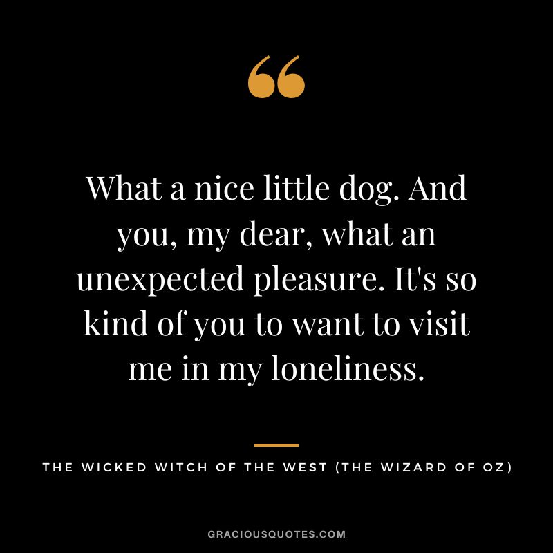 What a nice little dog. And you, my dear, what an unexpected pleasure. It's so kind of you to want to visit me in my loneliness. - The Wicked Witch of the West