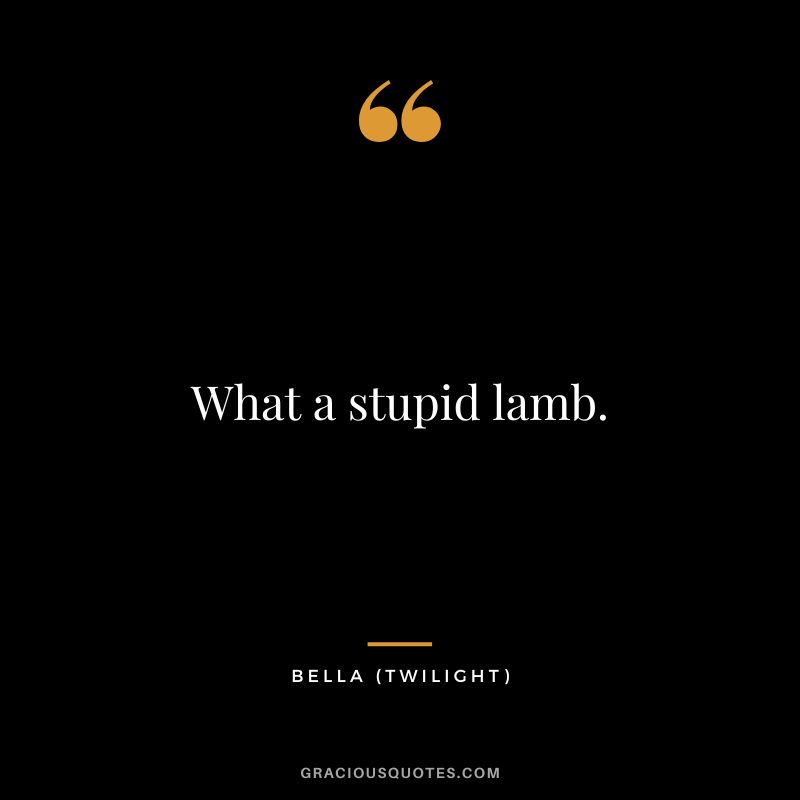 What a stupid lamb. - Bella