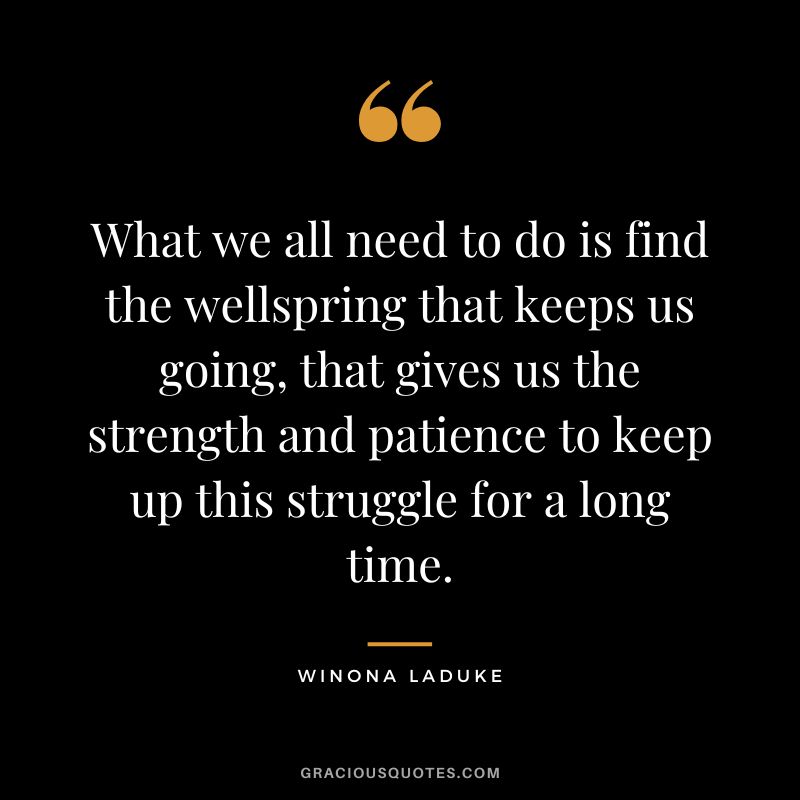 What we all need to do is find the wellspring that keeps us going, that gives us the strength and patience to keep up this struggle for a long time. - Winona LaDuke