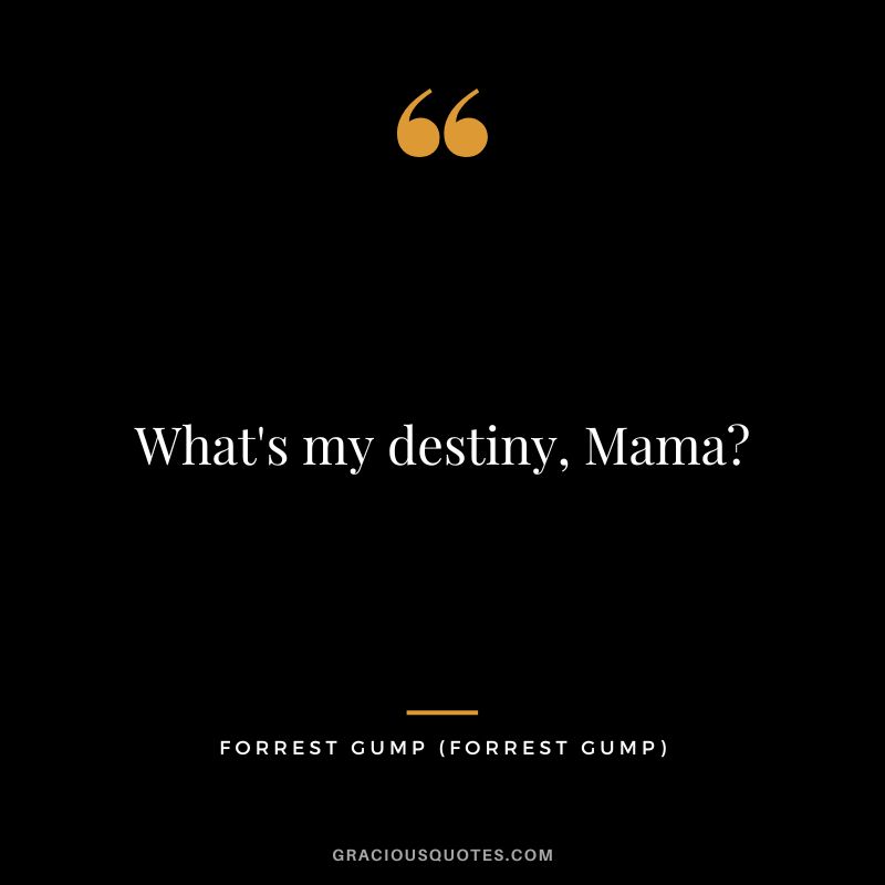 What's my destiny, Mama - Forrest Gump