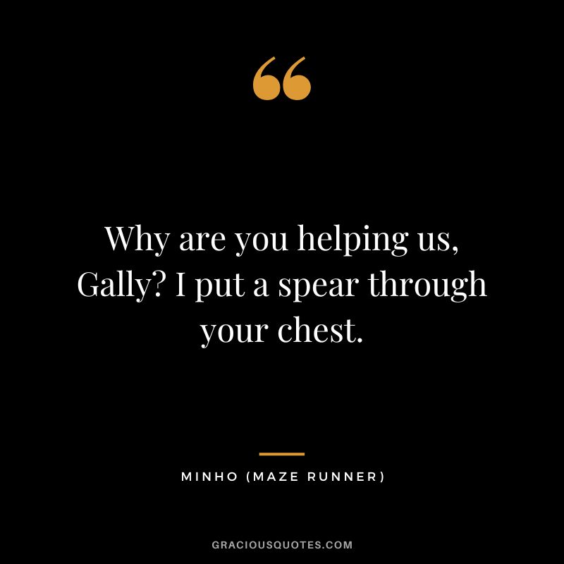 Why are you helping us, Gally I put a spear through your chest. - Minho