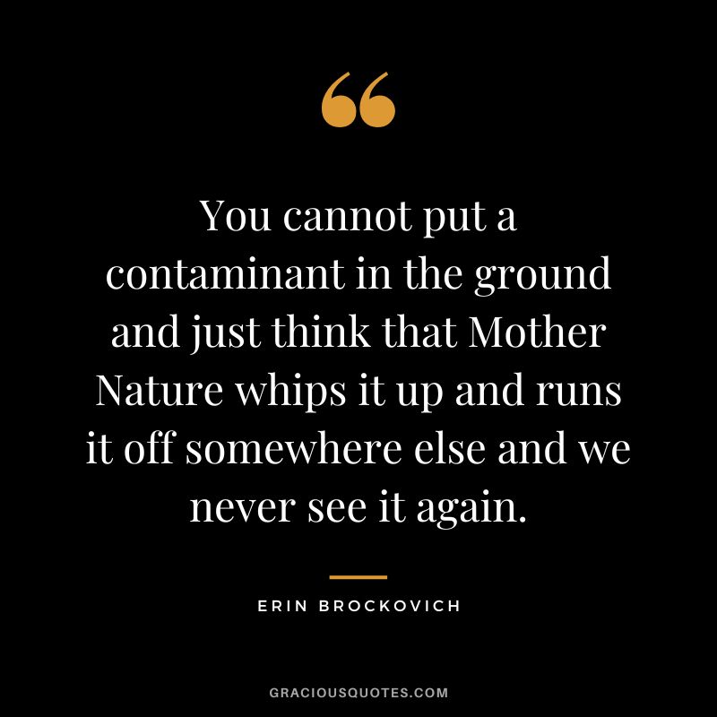 You cannot put a contaminant in the ground and just think that Mother Nature whips it up and runs it off somewhere else and we never see it again. - Erin Brockovich
