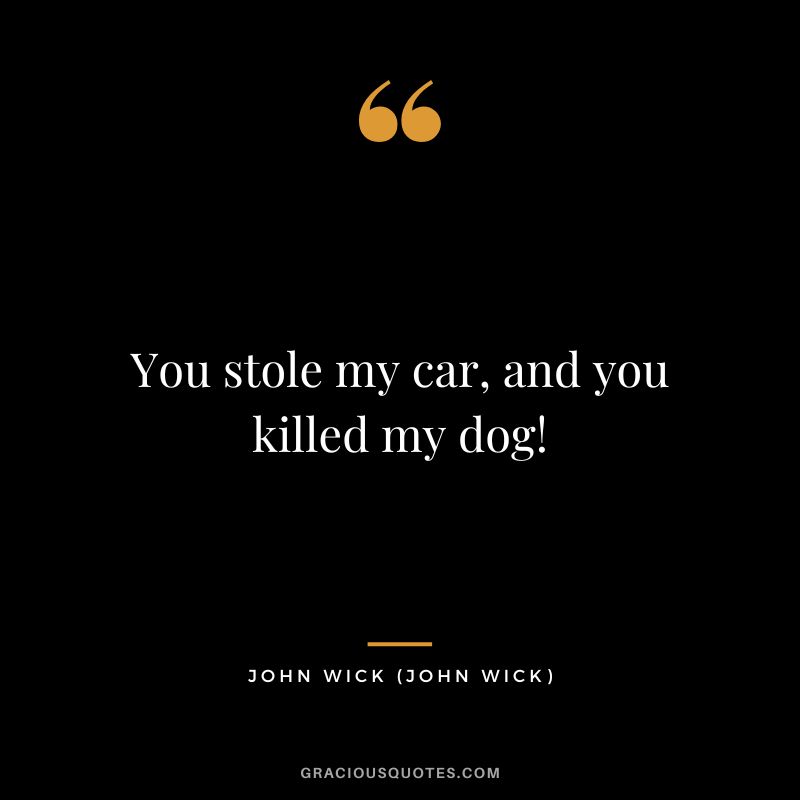 You stole my car, and you killed my dog!