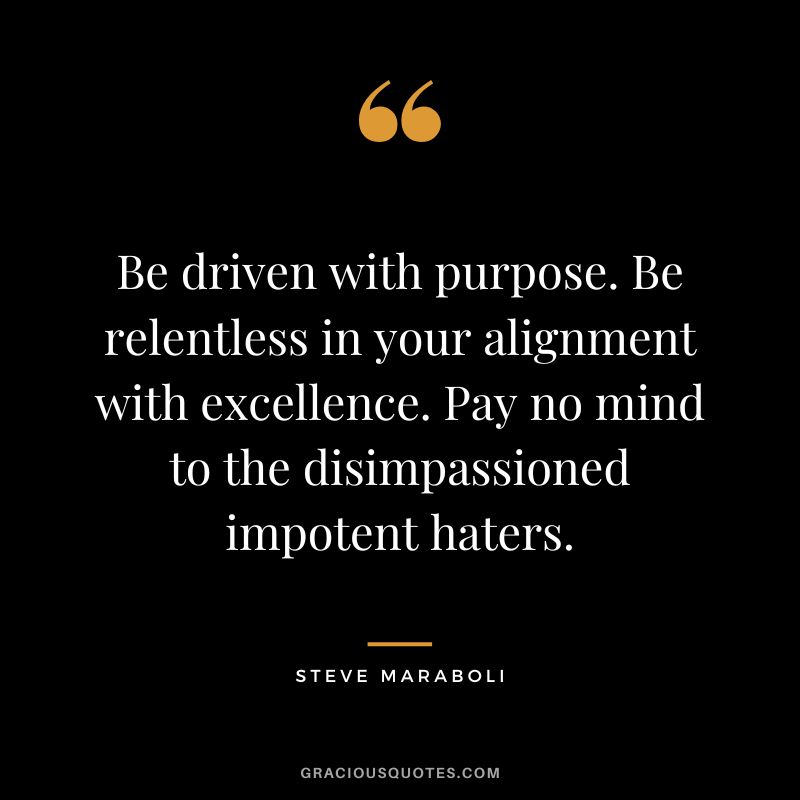 Be driven with purpose. Be relentless in your alignment with excellence. Pay no mind to the disimpassioned impotent haters. - Steve Maraboli