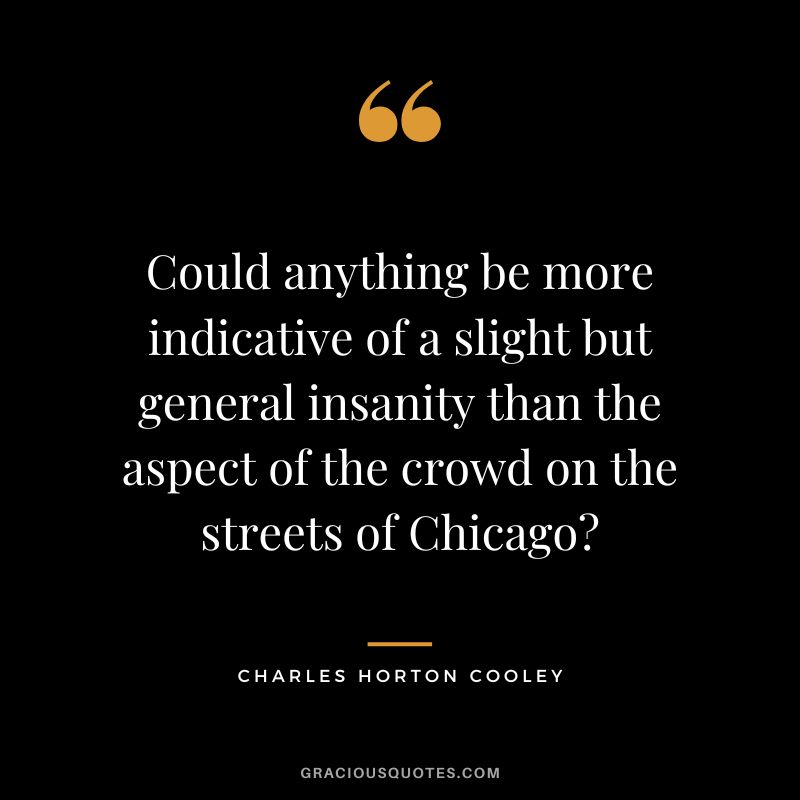 Could anything be more indicative of a slight but general insanity than the aspect of the crowd on the streets of Chicago - Charles Horton Cooley