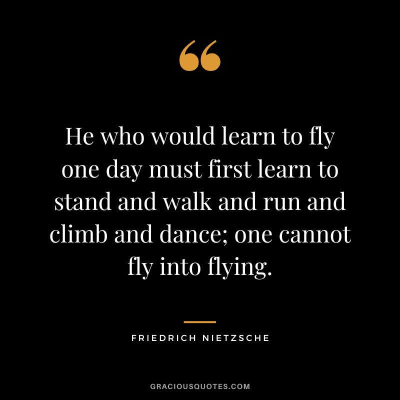 He who would learn to fly one day must first learn to stand and walk and run and climb and dance; one cannot fly into flying. - Friedrich Nietzsche