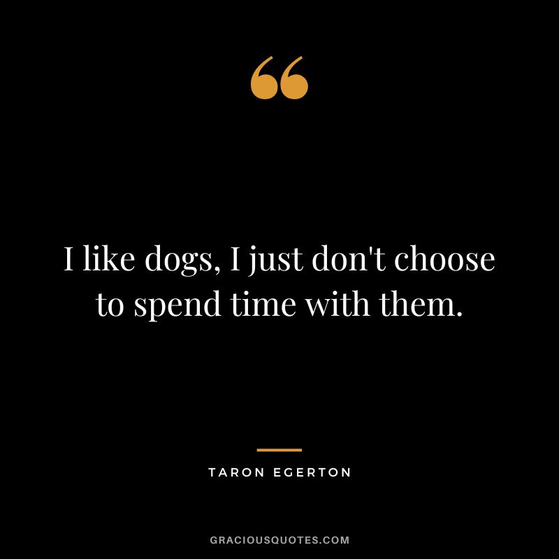I like dogs, I just don't choose to spend time with them.