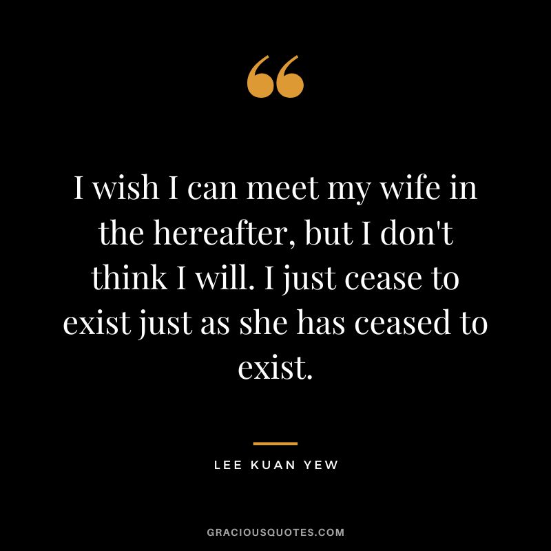 I wish I can meet my wife in the hereafter, but I don't think I will. I just cease to exist just as she has ceased to exist.