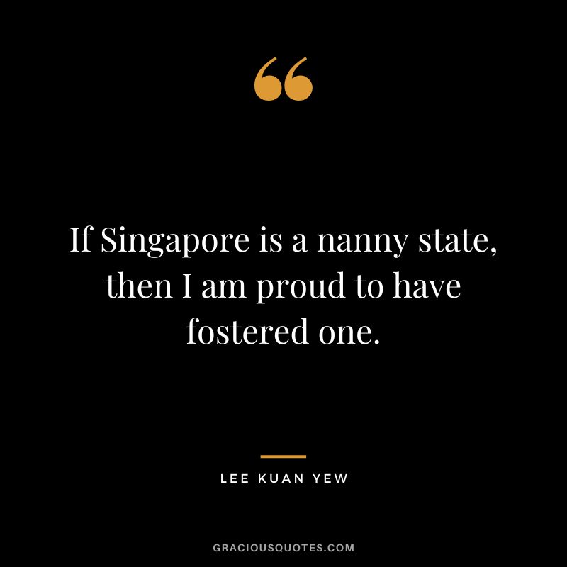If Singapore is a nanny state, then I am proud to have fostered one.