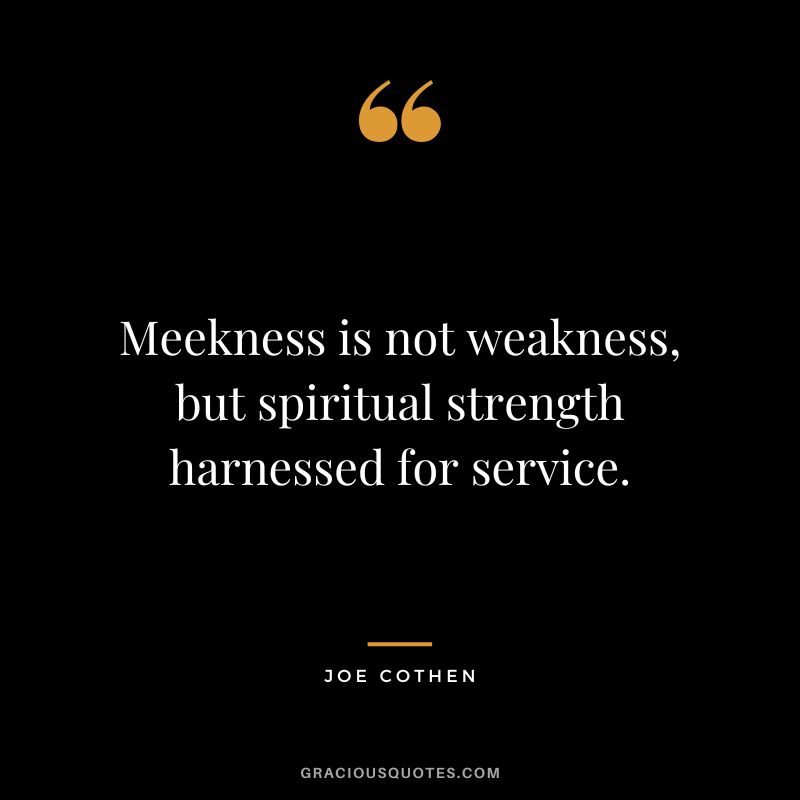 Meekness is not weakness, but spiritual strength harnessed for service. - Joe Cothen