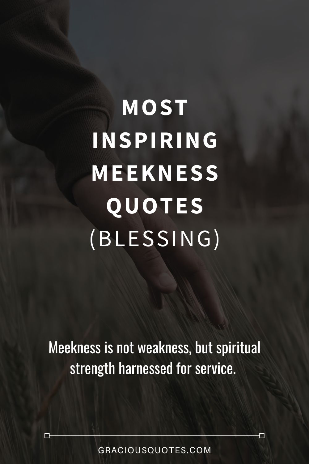 Most Inspiring Meekness Quotes (BLESSING) - Gracious Quotes