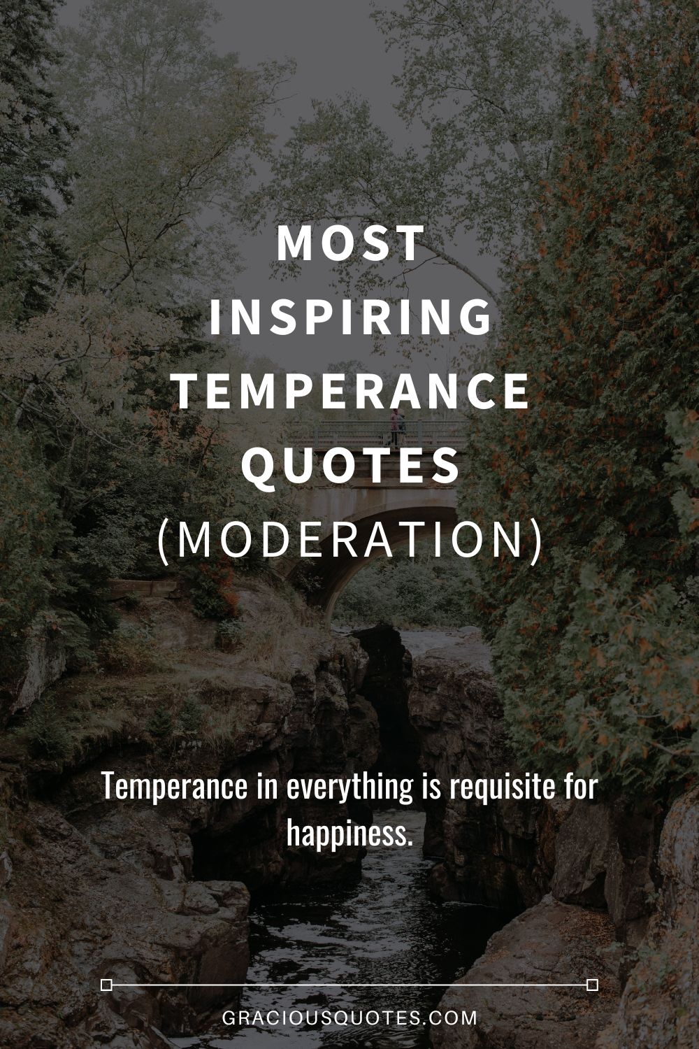 Most Inspiring Temperance Quotes (MODERATION) - Gracious Quotes