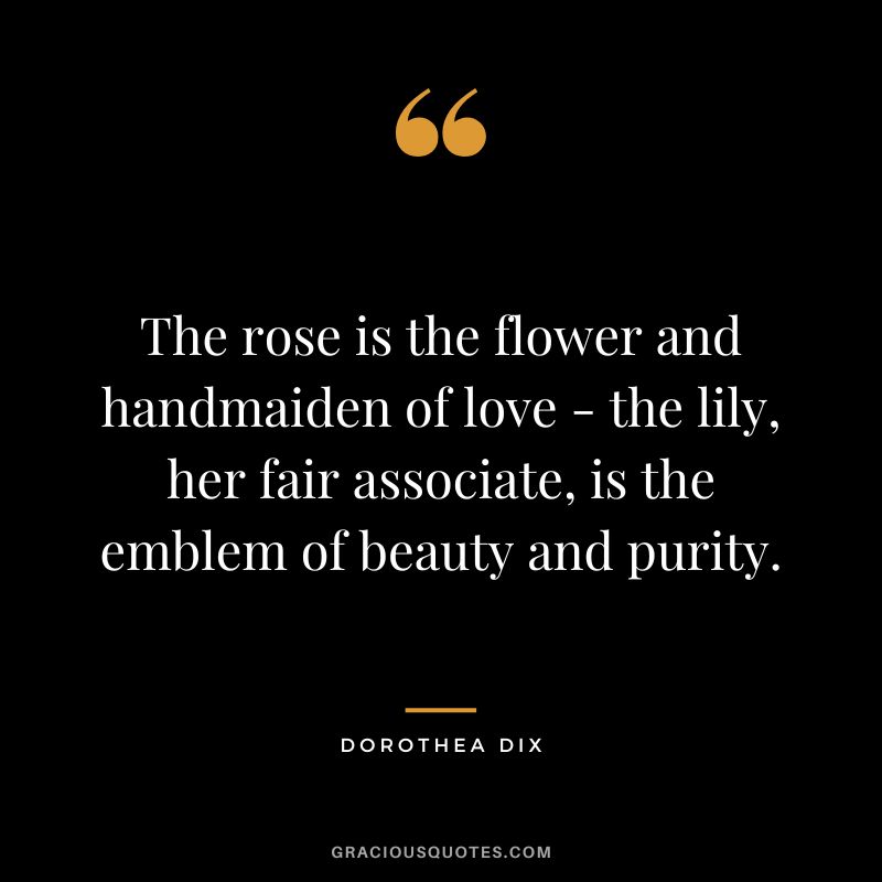 The rose is the flower and handmaiden of love - the lily, her fair associate, is the emblem of beauty and purity. - Dorothea Dix