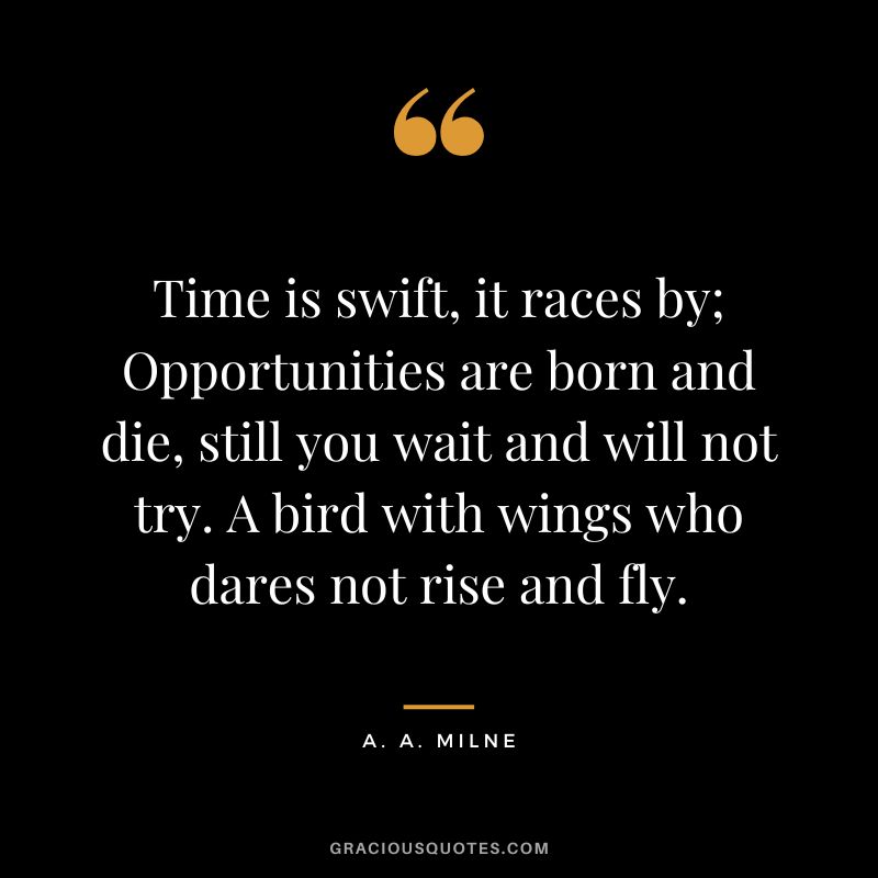 Time is swift, it races by; Opportunities are born and die, still you wait and will not try. A bird with wings who dares not rise and fly.