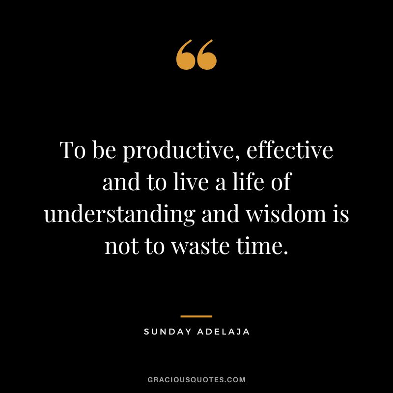 To be productive, effective and to live a life of understanding and wisdom is not to waste time. - Sunday Adelaja