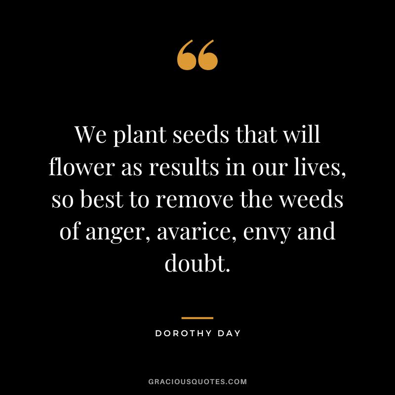 We plant seeds that will flower as results in our lives, so best to remove the weeds of anger, avarice, envy and doubt. - Dorothy Day