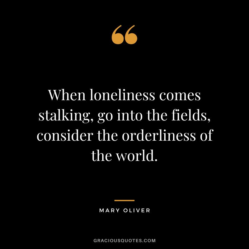 When loneliness comes stalking, go into the fields, consider the orderliness of the world. - Mary Oliver