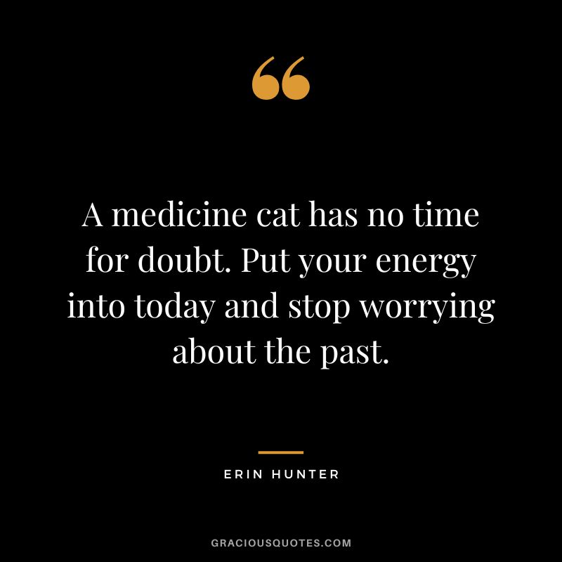 A medicine cat has no time for doubt. Put your energy into today and stop worrying about the past.